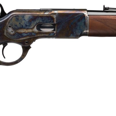 1873 Competition Carbine HG