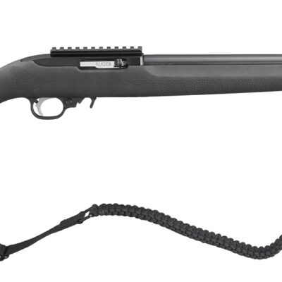 10/22 Light Varmint Target